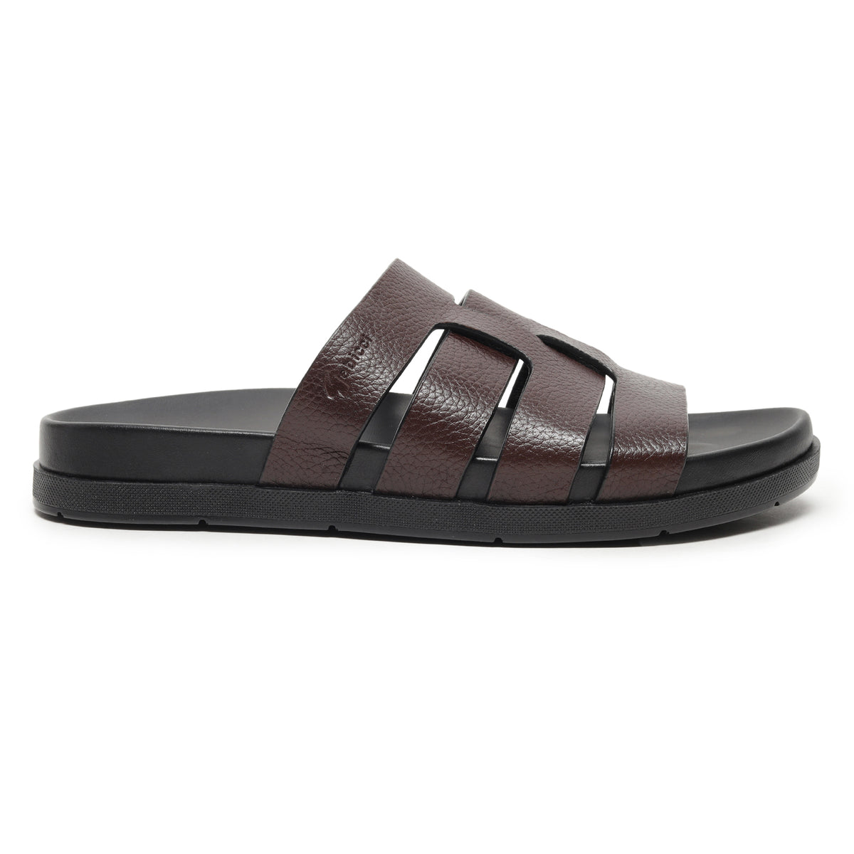 Comfort Tourer - Royal Oak