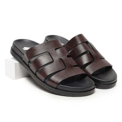 Comfort Tourer - Royal Oak