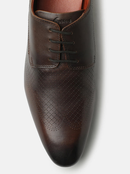 DEBONAIR 2.0 - ROYAL OAK