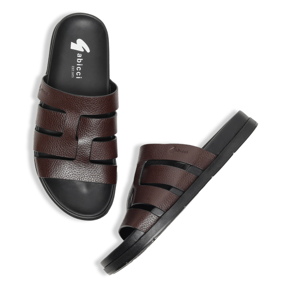 Comfort Tourer - Royal Oak