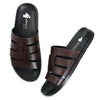 Comfort Tourer - Royal Oak