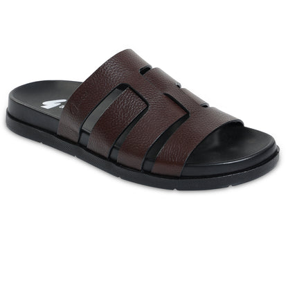 Comfort Tourer - Royal Oak