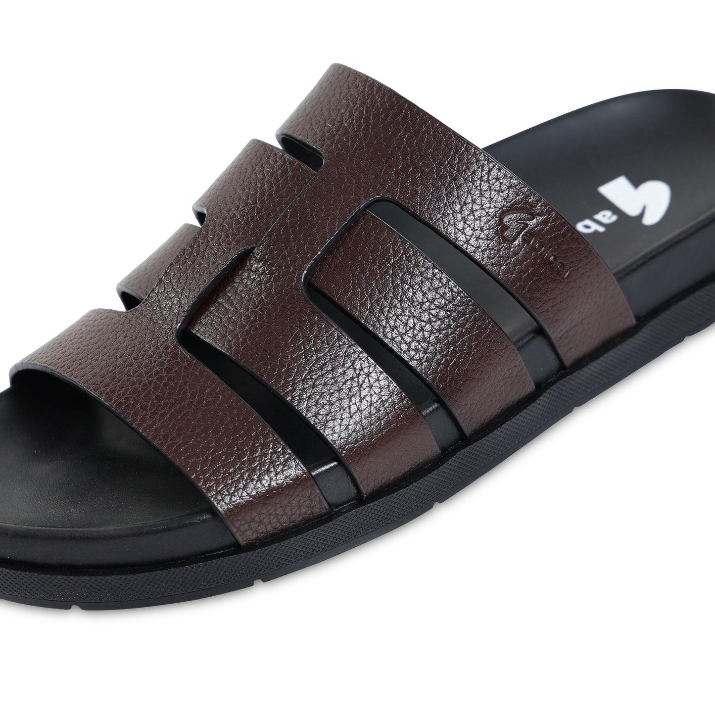 Comfort Tourer - Royal Oak