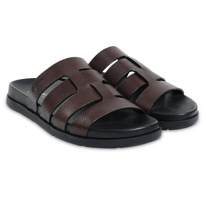 Comfort Tourer - Royal Oak