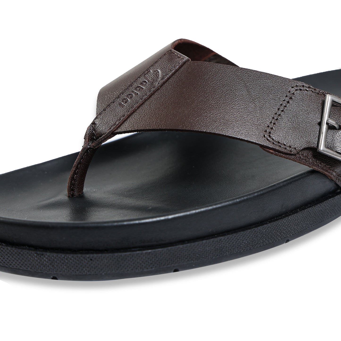 Trekster - Royal Oak/Black