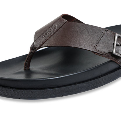 Trekster - Royal Oak/Black